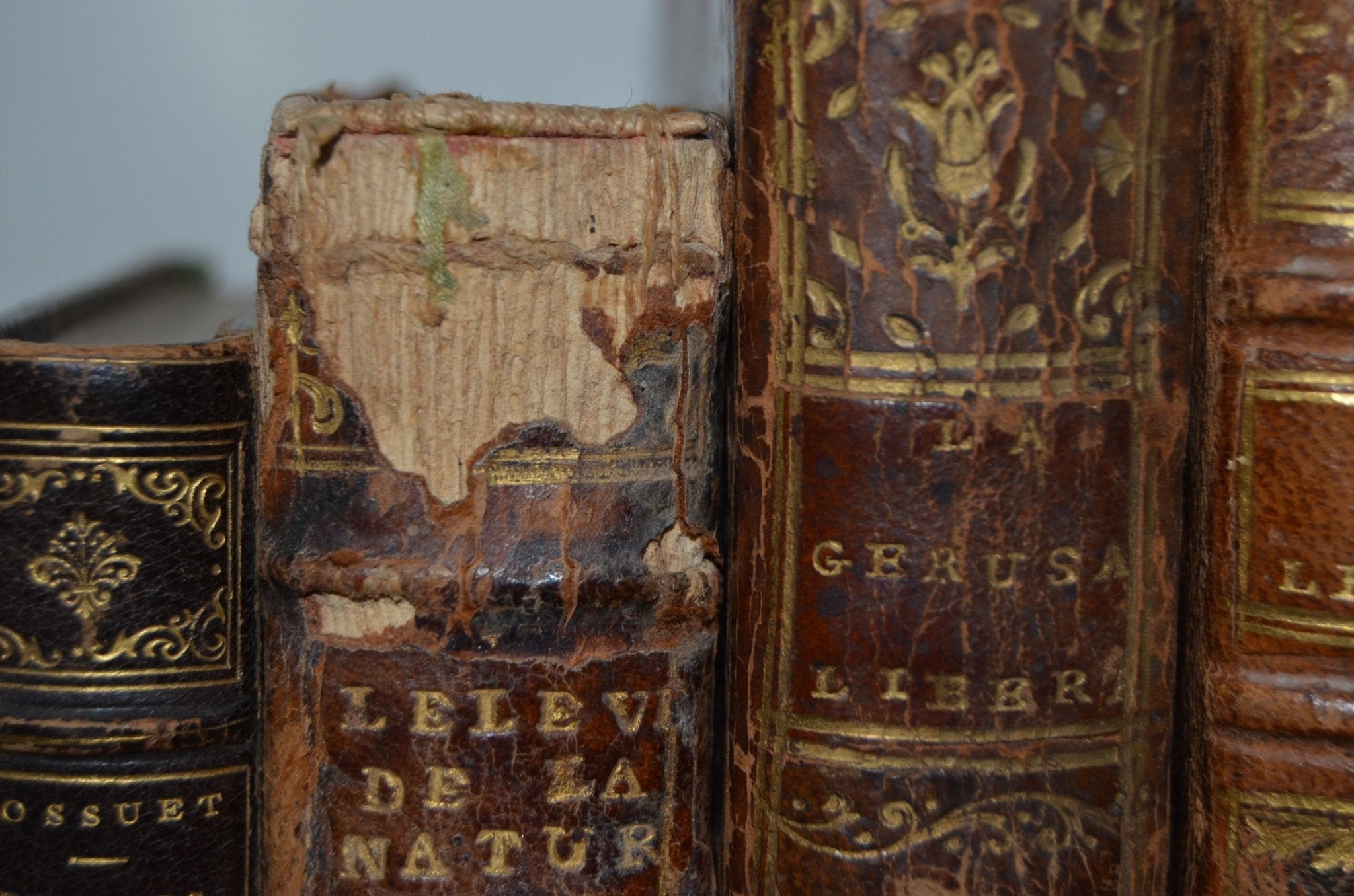 18th - 19th Century Antique Leather Bound Set - Rousseau - Brookfield Books