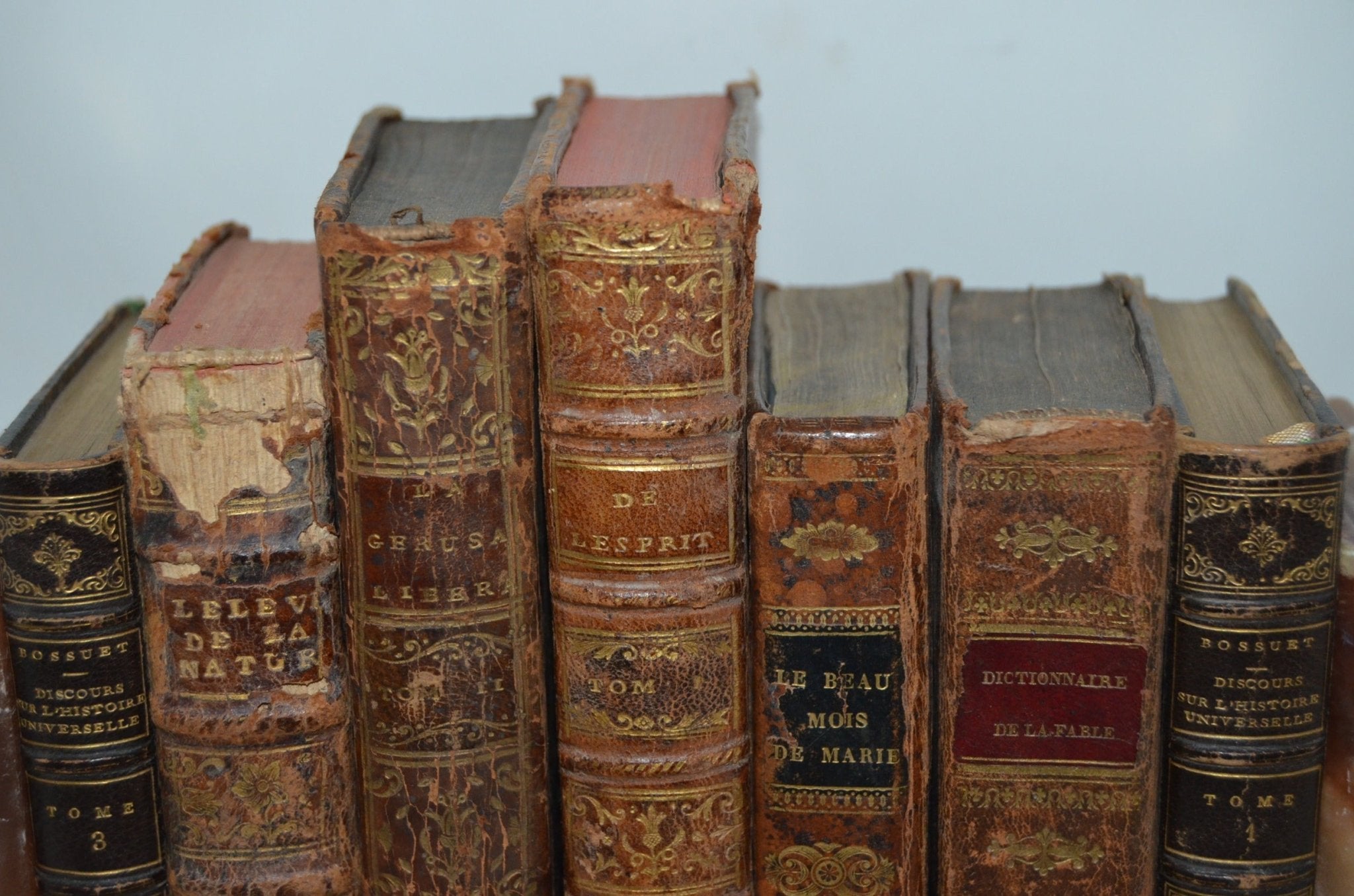 18th - 19th Century Antique Leather Bound Set - Rousseau - Brookfield Books