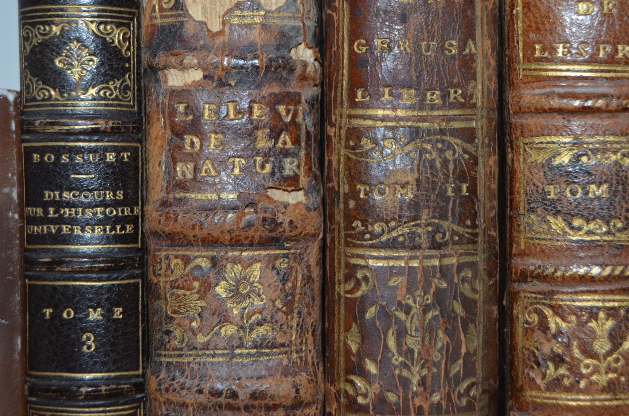 18th - 19th Century Antique Leather Bound Set - Rousseau - Brookfield Books