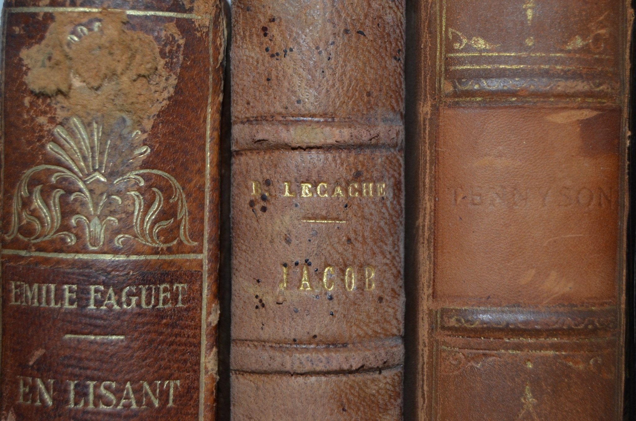 Antique Leather Bound Book Décor – Carmel Brown - Alfred Lord Tennyson - Brookfield Books