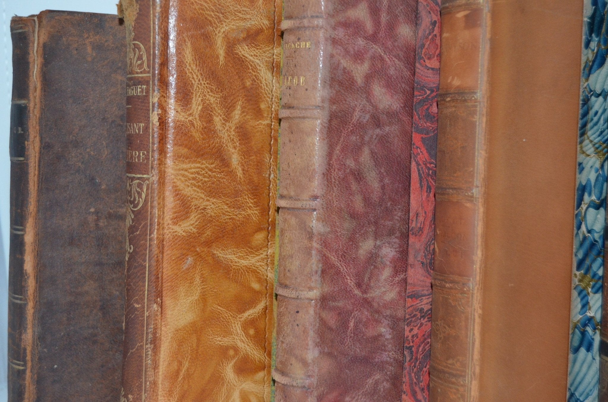 Antique Leather Bound Book Décor – Carmel Brown - Alfred Lord Tennyson - Brookfield Books