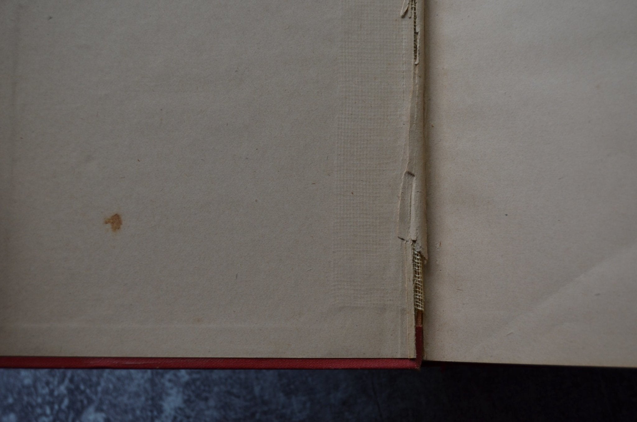 Antique Victorian Binding – Hans Christian Anderson’s Fairy Tales 1890 - Brookfield Books