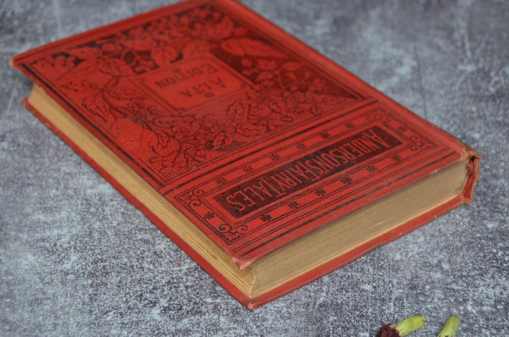 Antique Victorian Binding – Hans Christian Anderson’s Fairy Tales 1890 - Brookfield Books