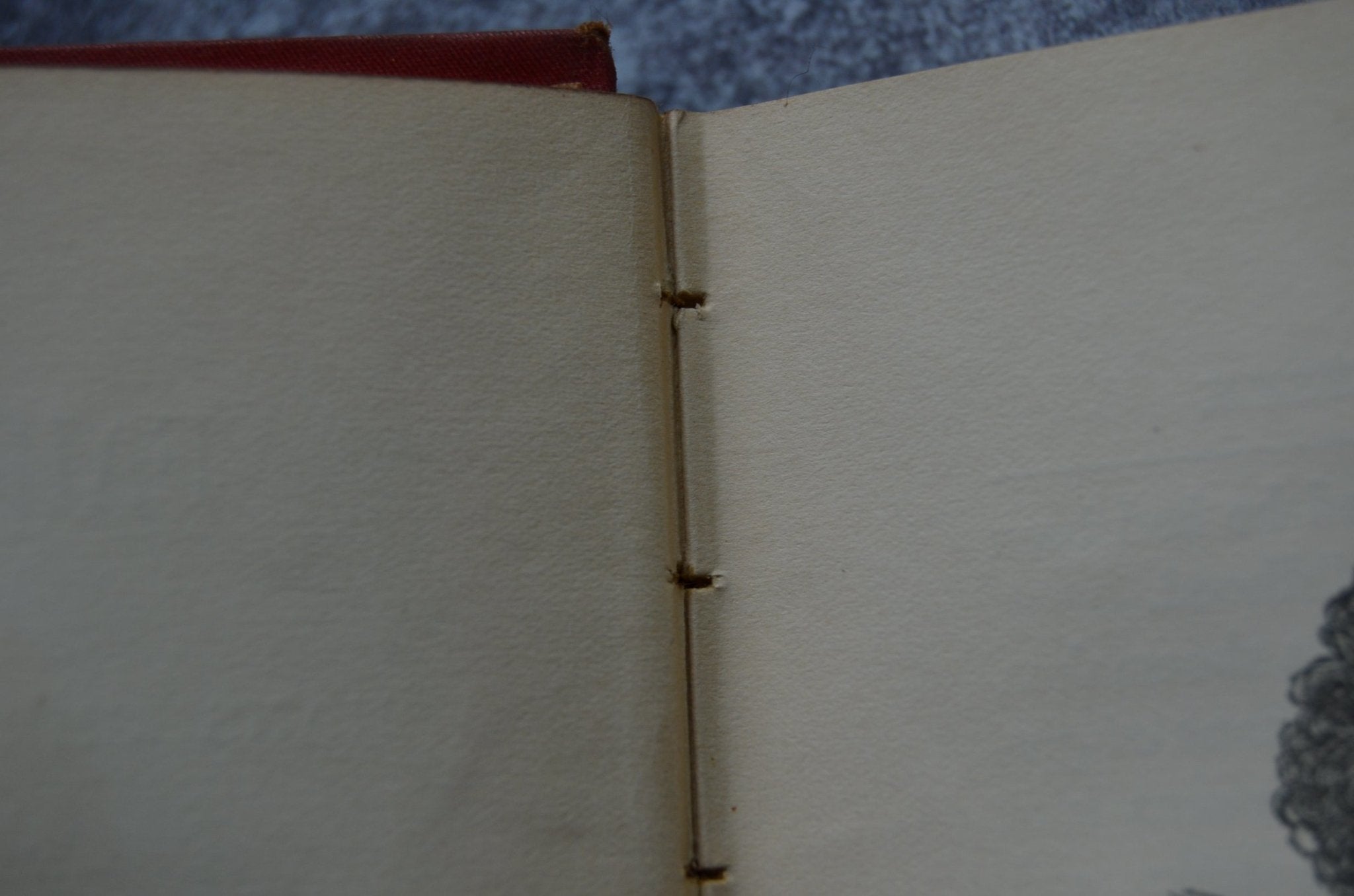 Antique Victorian Binding – Hans Christian Anderson’s Fairy Tales 1890 - Brookfield Books